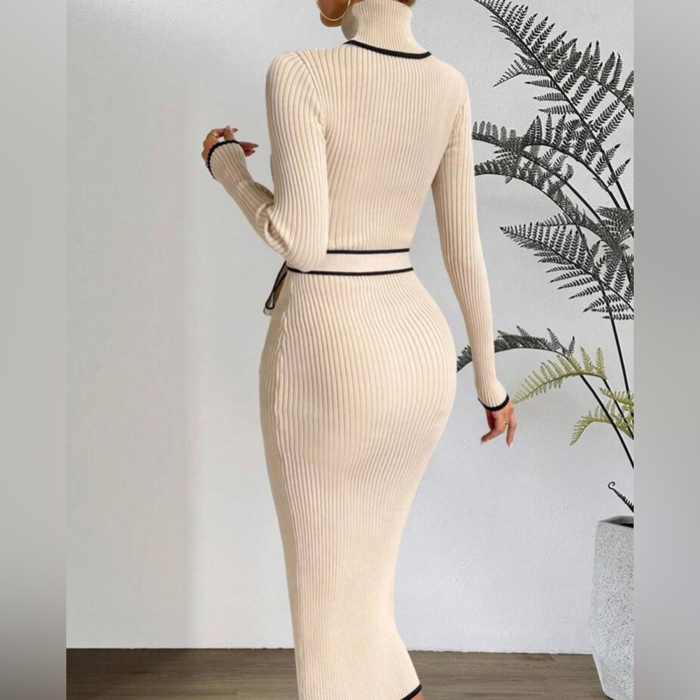 PASSION Contrast Binding Turtleneck Belted Sweater Dress - Picture 11 of 15